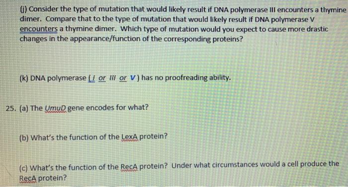 Solved ) Consider the type of mutation that would likely | Chegg.com
