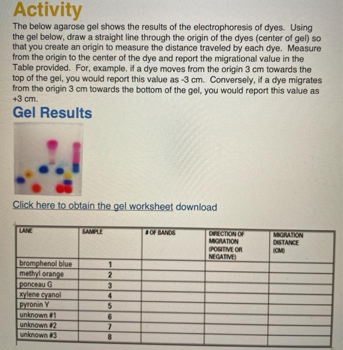 Solved Activity The Below Agarose Gel Shows The Results Of | Chegg.com