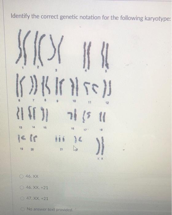 Solved Identify the correct genetic notation for the | Chegg.com