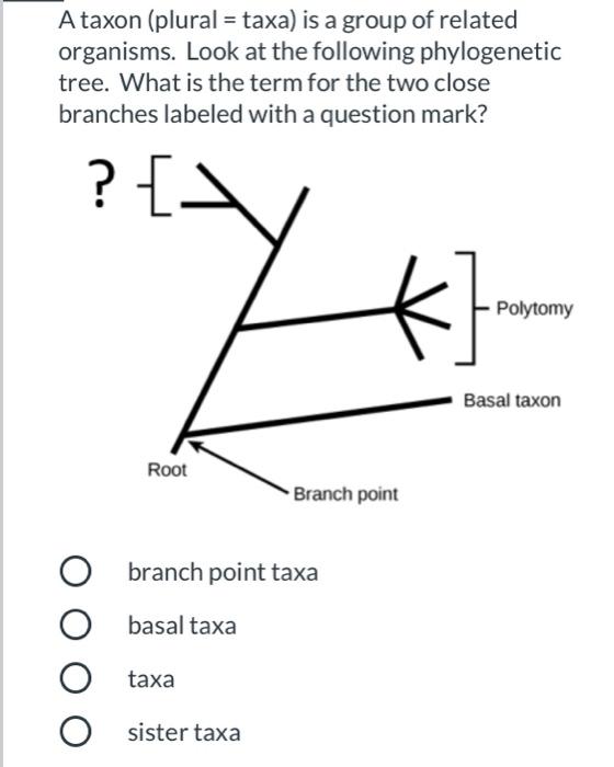 solved-a-taxon-plural-taxa-is-a-group-of-related-chegg