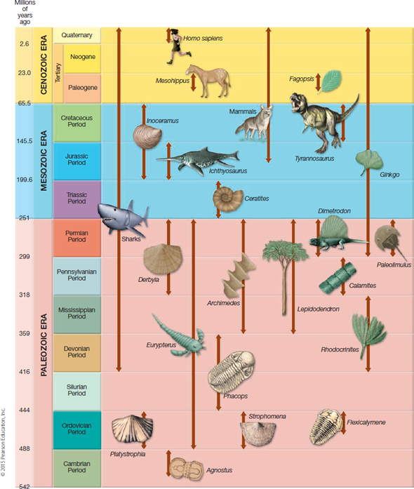 Solved: Use Figure 1, to complete the following.FIGURE 1Geologi ...