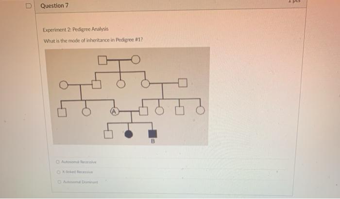 Solved U Question 7 Experiment 2: Pedigree Analysis What is | Chegg.com