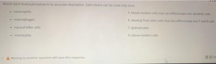 Solved Match each leukocyte below to its accurate | Chegg.com