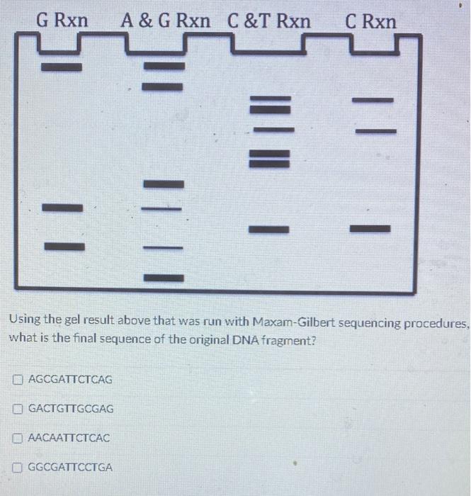 Solved G Rxn A&G Rxn C&T Rxn C Rxn || || 1 Using the gel | Chegg.com