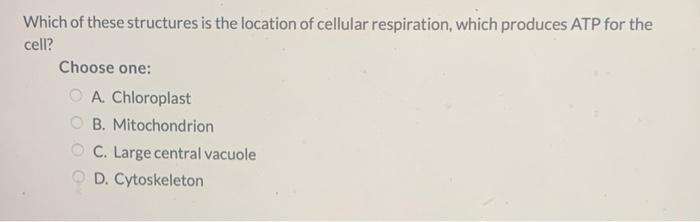 which of the following structures is not found in all cells