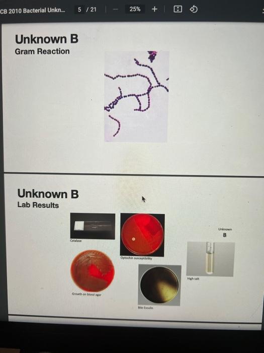 Solved identify the unknown bacteria, and create a | Chegg.com