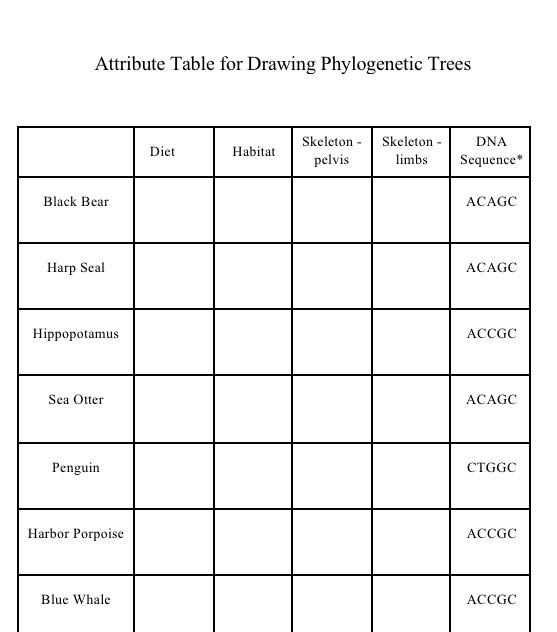 Solved Attribute Table for Drawing Trees Diet