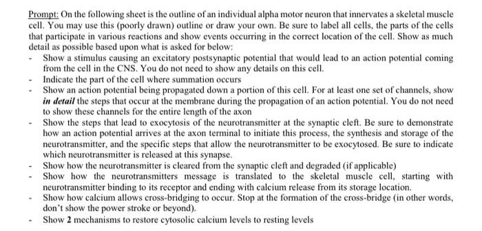 i need help drawing a stucture cell with all these | Chegg.com