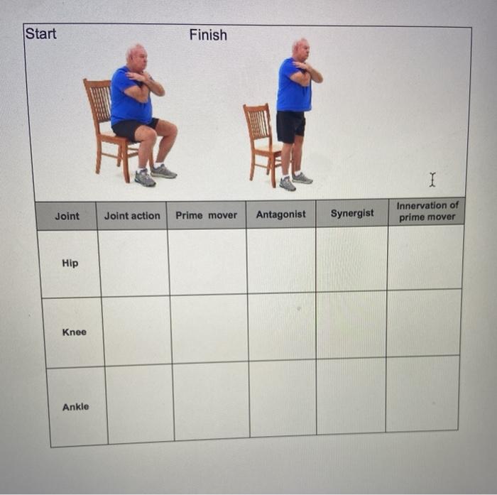 Solved Start Finish I Joint Joint action Prime mover | Chegg.com