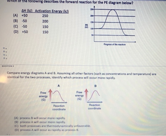 Solved which of the following describes the forward reaction | Chegg.com