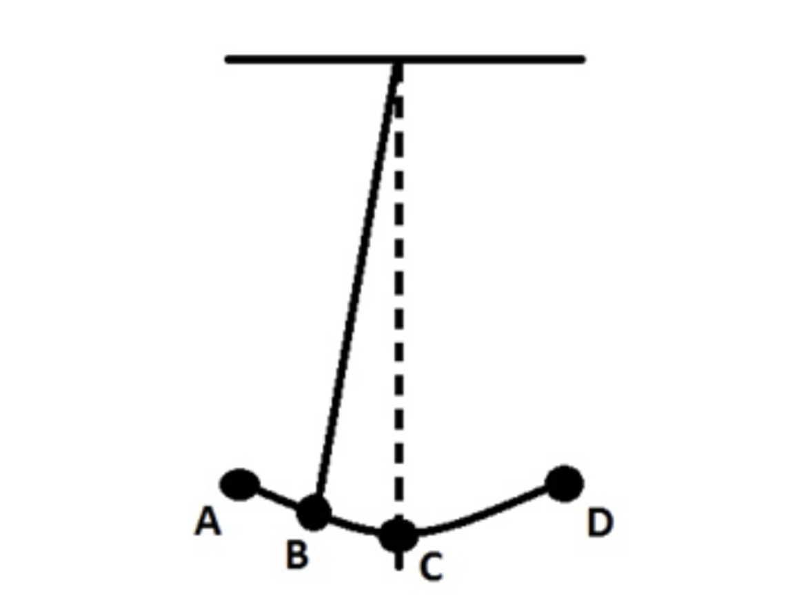 Solved The simple pendulum in the figure below swings back