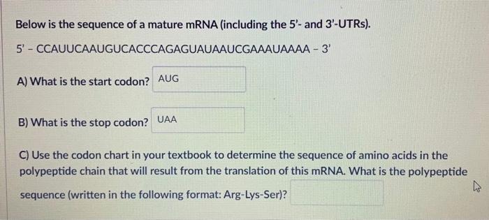 Solved Below is the sequence of a mature mRNA (including the | Chegg.com