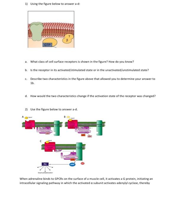 Solved 1) Using The Figure Below To Answer A-d: A. What | Chegg.com