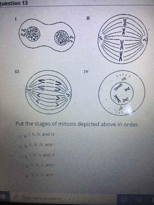 Solved estion 9 ATP ADP A B Which diagram represents | Chegg.com