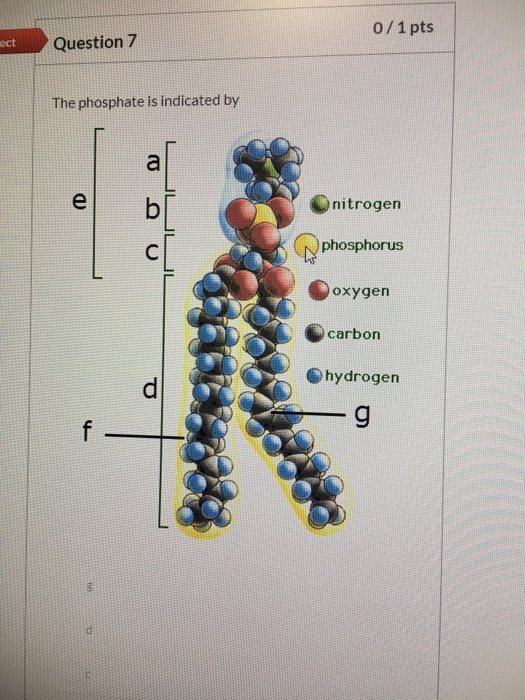Solved 0/1 pts ect Question 7 The phosphate is indicated by | Chegg.com