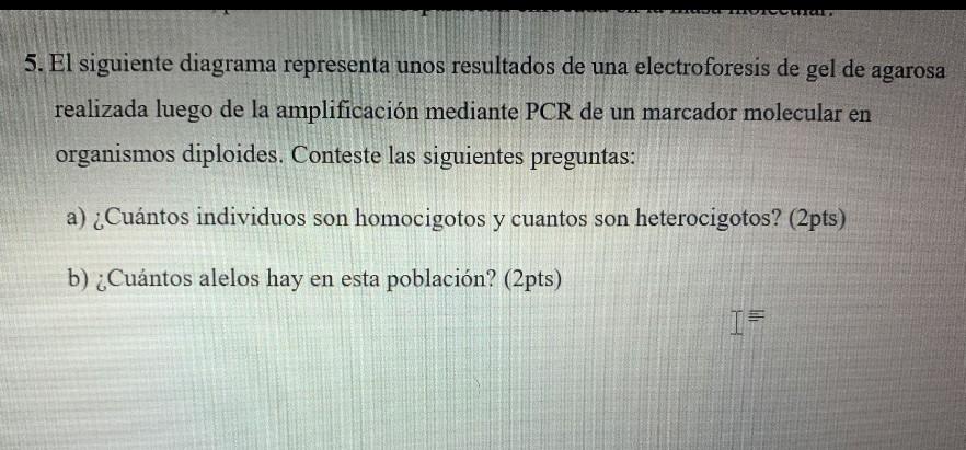 5. El siguiente diagrama representa unos resultados de una electroforesis de gel de agarosa realizada luego de la amplificaci