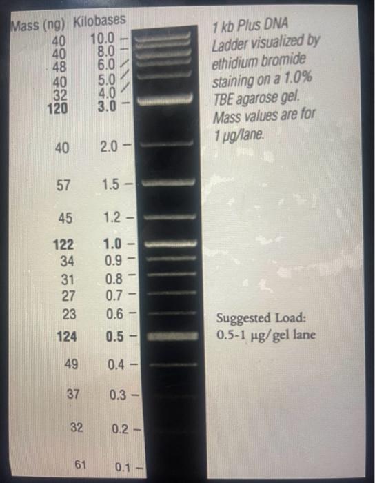 Solved Biology 107 Lab Assignment 4 Plasmid ID If you were