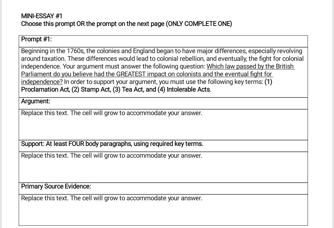 mini q essay