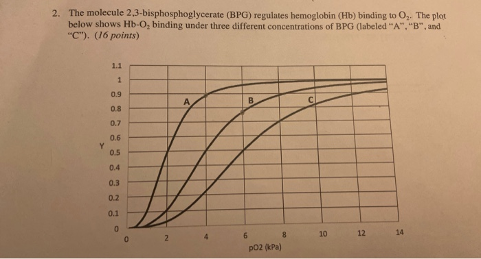 Solved 2. The molecule 2,3-bisphosphoglycerate (BPG) | Chegg.com