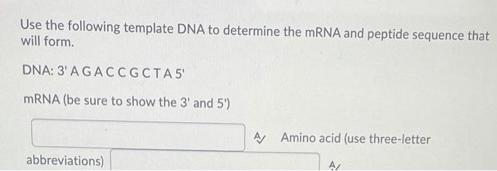 Solved Write the base sequence of the complementary strand | Chegg.com