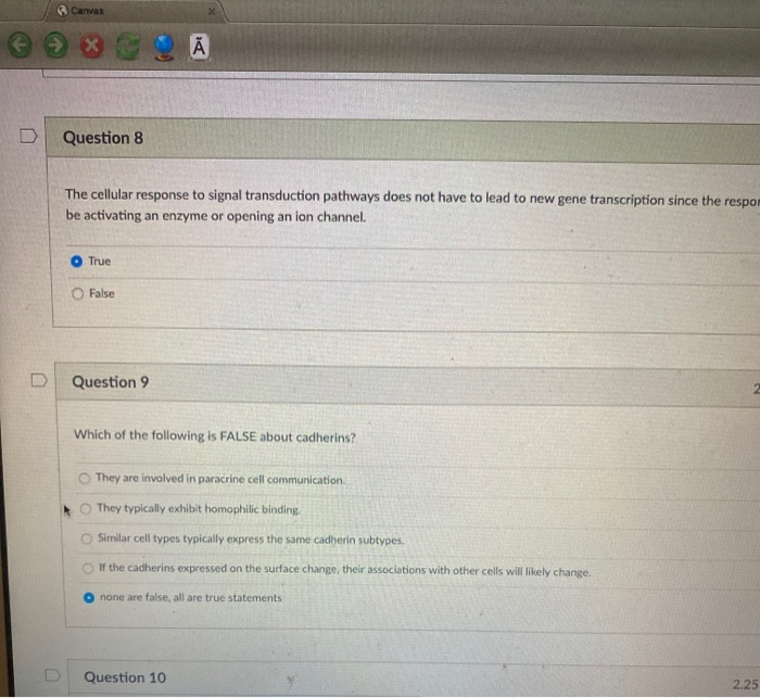Solved Question 6 Which Of The Following Statements About Chegg Com