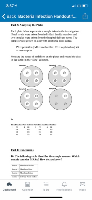 How is it possible that some strains of staphylococci can be harmless image