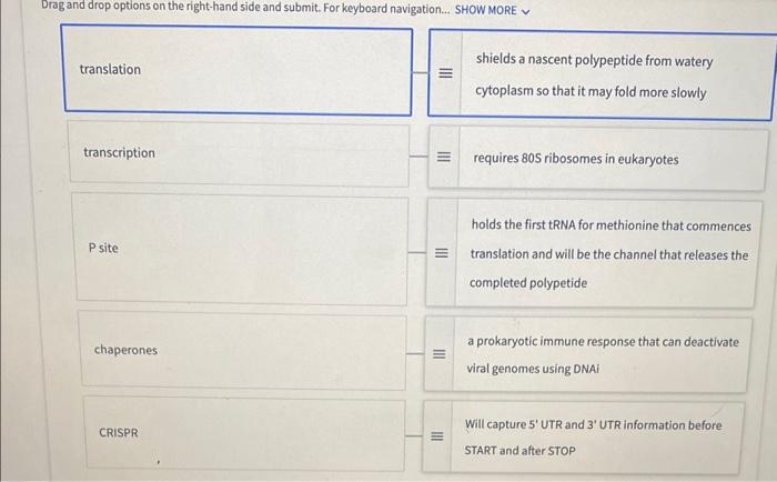 Solved 2 DNA is replicated during the S phase in eukaryotes Biology Diagrams