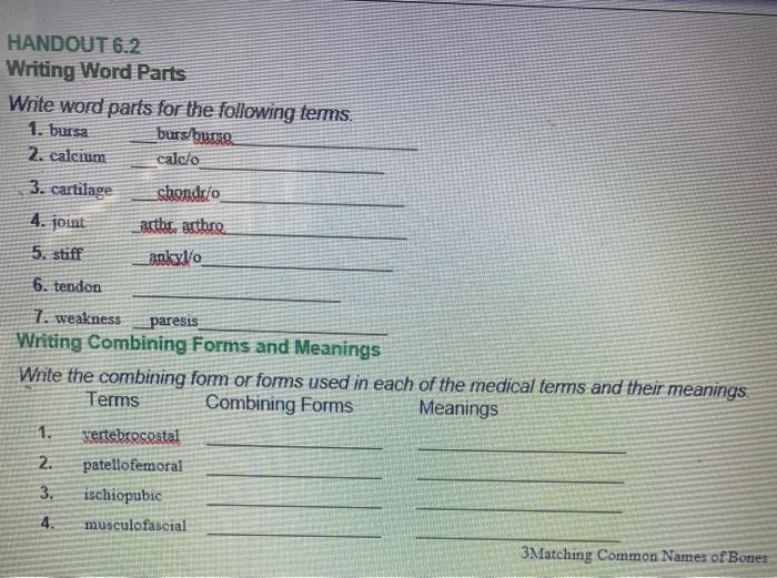 HANDOUT 6.2 Writing Word Parts Write word parts for the following terms. 1. bursa bursus 2. calcium calcio 3. cartilage chond