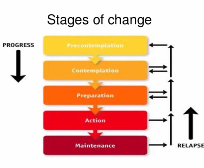 Solved 1 Theories Of Behavioral Change Using The Health Chegg Com