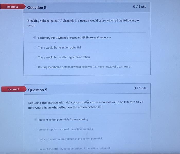 Solved Blocking voltagegated K+channels in a neuron would