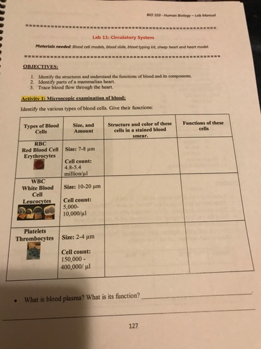 Solved BIO 103 Human Biology Lab Manual Lab 11