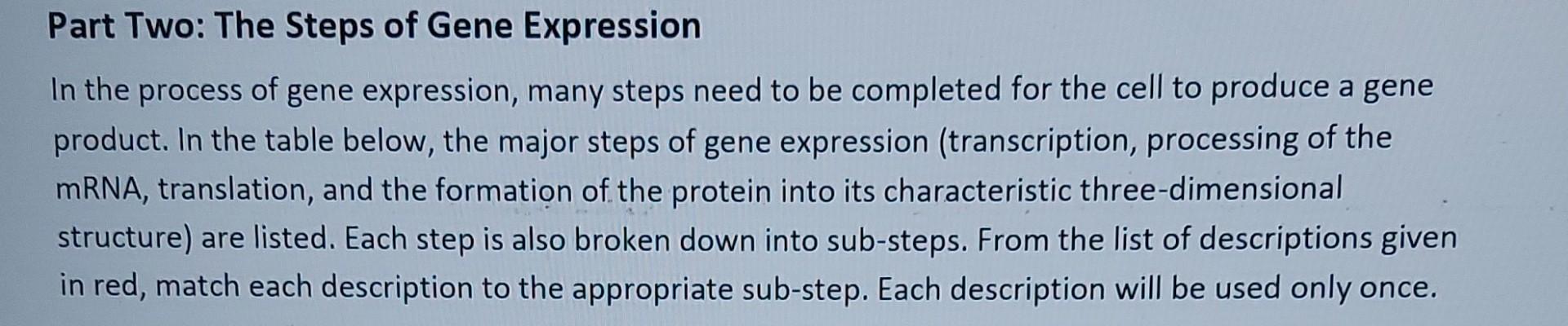 Solved Part Two: The Steps of Gene Expression In the process | Chegg.com