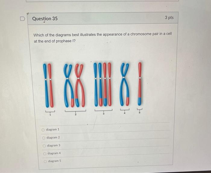 Solved Question 35 3 pts Which of the diagrams best | Chegg.com