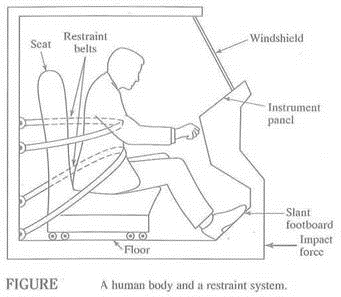 Solved: Figure Shows A Human Body And A Restraint System At The 