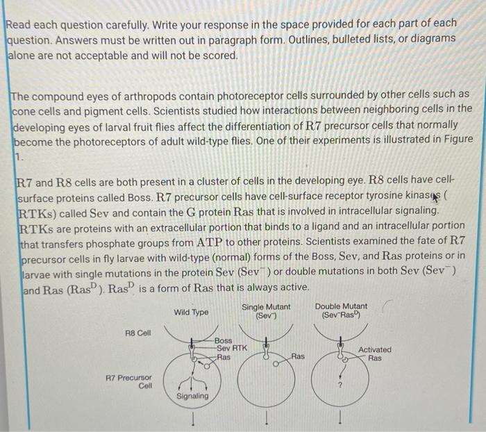 Solved Read Each Question Carefully. Write Your Response In | Chegg.com