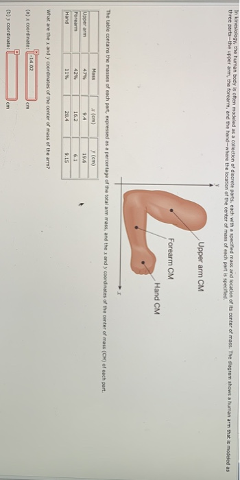 Solved In kinesiology, the human body is often modeled as a | Chegg.com