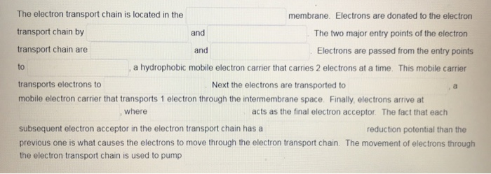 Solved The electron transport chain is located in the | Chegg.com