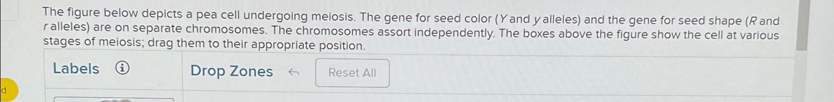 Solved The figure below depicts a pea cell undergoing | Chegg.com