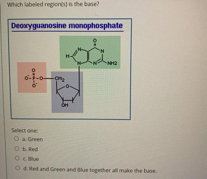 deoxyguanosine monophosphate