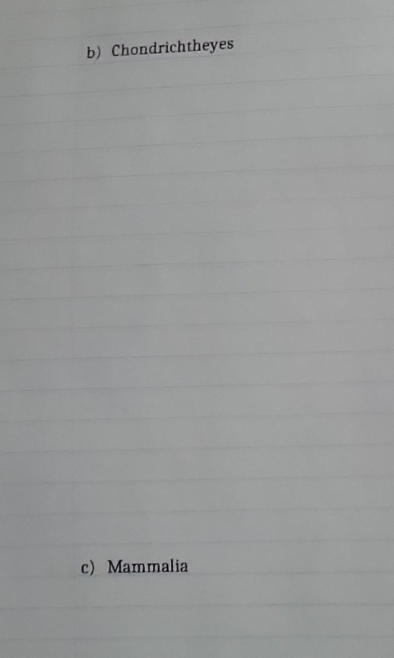 Chordate visual data 8