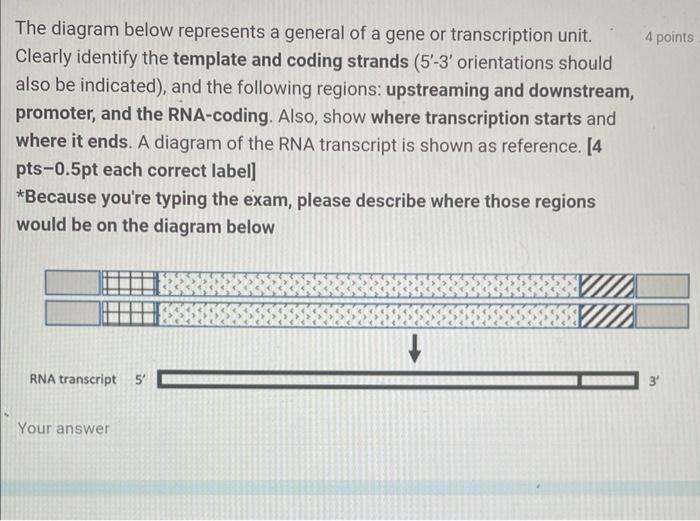 The diagram below represents a general of a gene or | Chegg.com