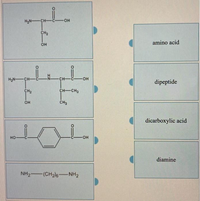 Solved Choose the amino acids from the list below that could | Chegg.com