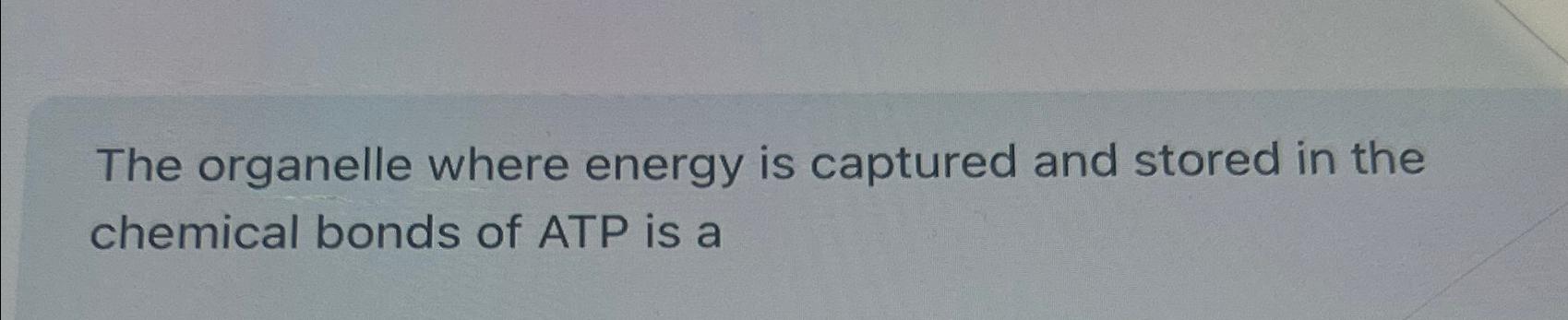 Solved The organelle where energy is captured and stored in 