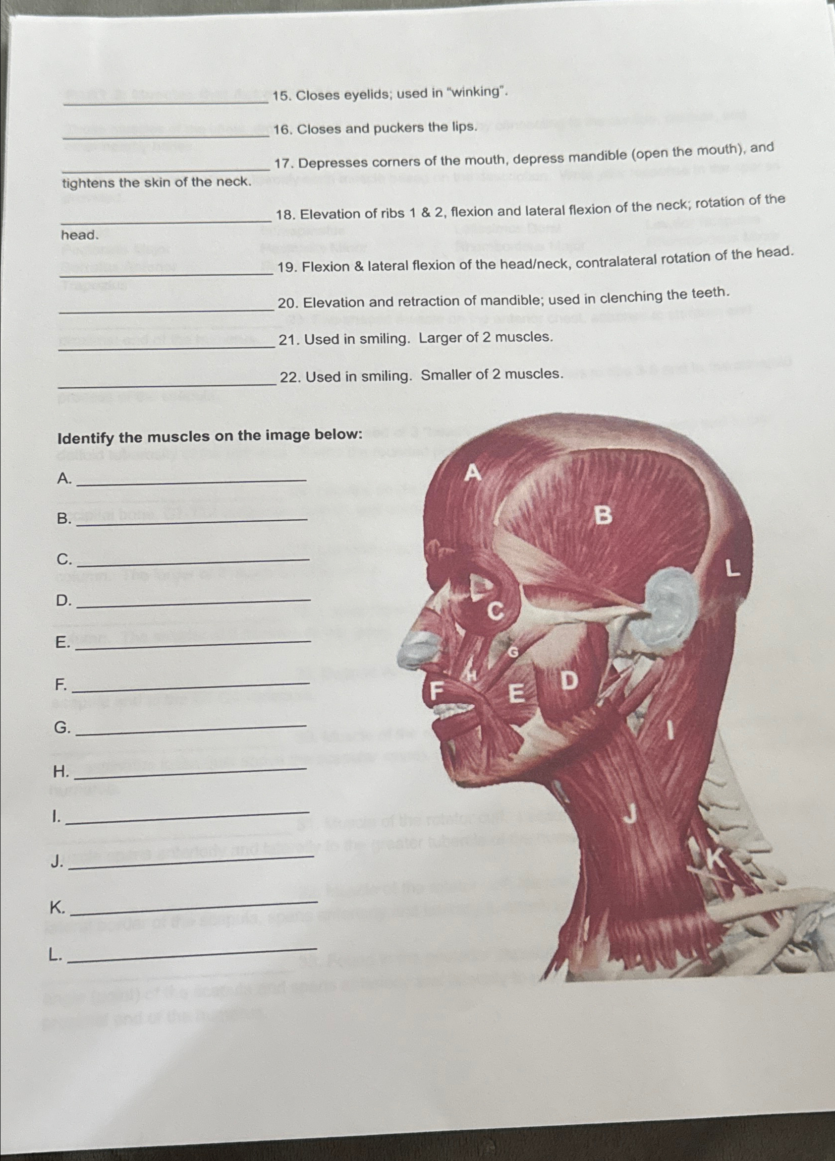 retraction of mandible