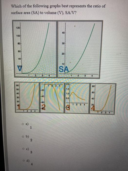Solved Which of the following graphs best represents the | Chegg.com