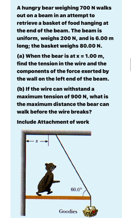 Solved A hungry bear weighing 700 N walks out on a beam in | Chegg.com