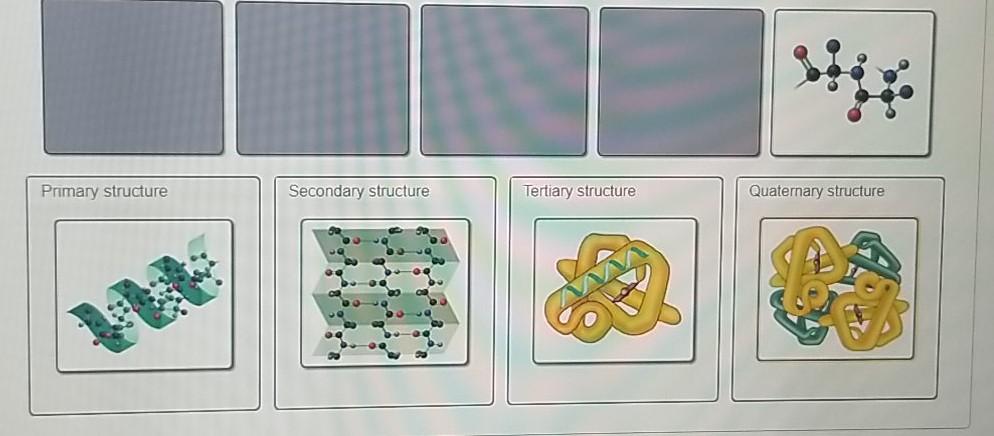 solved-primary-1-structure-is-the-result-of-two-or-more-chegg