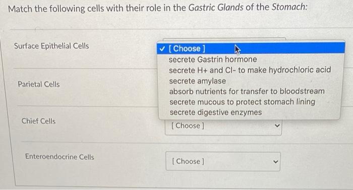 Solved Match the following cells with their role in the | Chegg.com