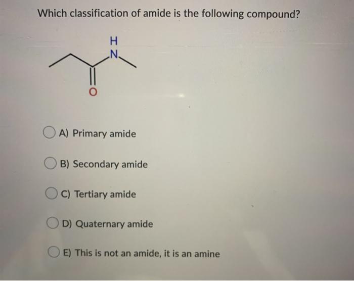 Solved Which classification of amide is the following | Chegg.com