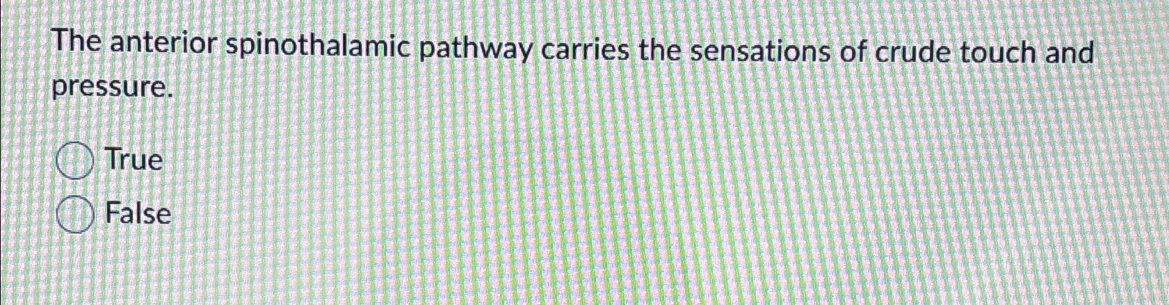 Solved The anterior spinothalamic pathway carries the | Chegg.com